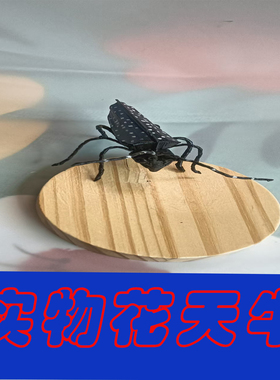 草编动物蚊子棕编藤编小昆虫