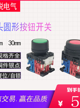 平头自复位按钮开关AR22F0R-11G AR30F5R-01R 11Y10W红色绿色自锁
