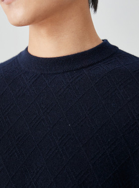 PALUOPO/帕罗山羊绒圆领男衫ET22331R-A