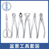 麦斯旺叶芽剪不锈钢球节剪叉枝剪断线钳破杆钳拉丝钳盆景工具