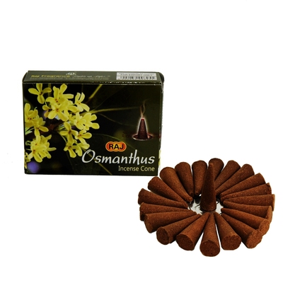 RAJ净化空气环境桂花印度进口