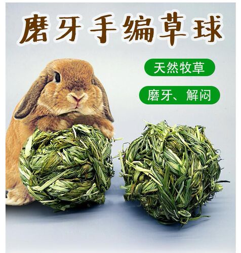 玩具兔兔豚鼠磨牙荷兰猪龙猫