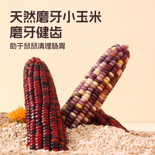 迷你小玉米 磨牙棒又好吃 兔子 龙猫 豚鼠 仓鼠  磨牙棒