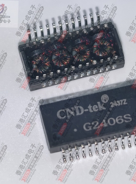 G2406S SOP24 全新原装