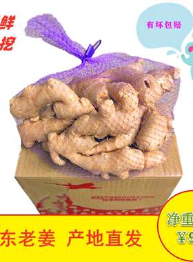 山东老姜母新鲜月子姜小黄嫩姜大姜生姜块蔬菜1斤低价包邮