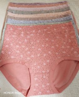 人家美582女士三角内裤95棉大码健康舒适高腰 一条装包邮颜色随机