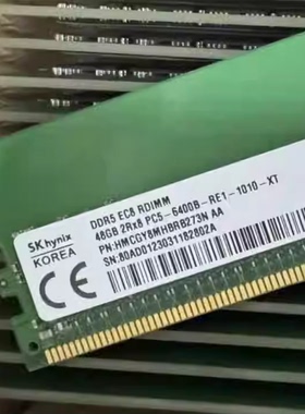 SK 海力士 48G 2RX8 PC5-6400 ECC REG RDIMM服务器内存48G DDR5