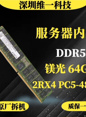 镁光64G 2RX4 PC5-4800B-RA0 服务器内存DDR5 4800 REG ECC RDIMM