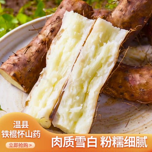 豫怀人温县垆土铁棍山药怀山药