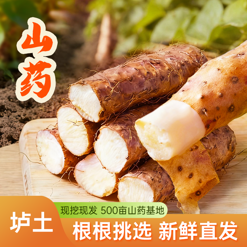 豫怀人温县铁棍山药 新鲜怀山药河南特产淮山药中药材正宗铁杆5斤