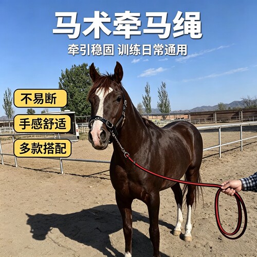 迪凯马具用品防挣脱金属链条马术牵马绳公马训练牵引绳马带牵引