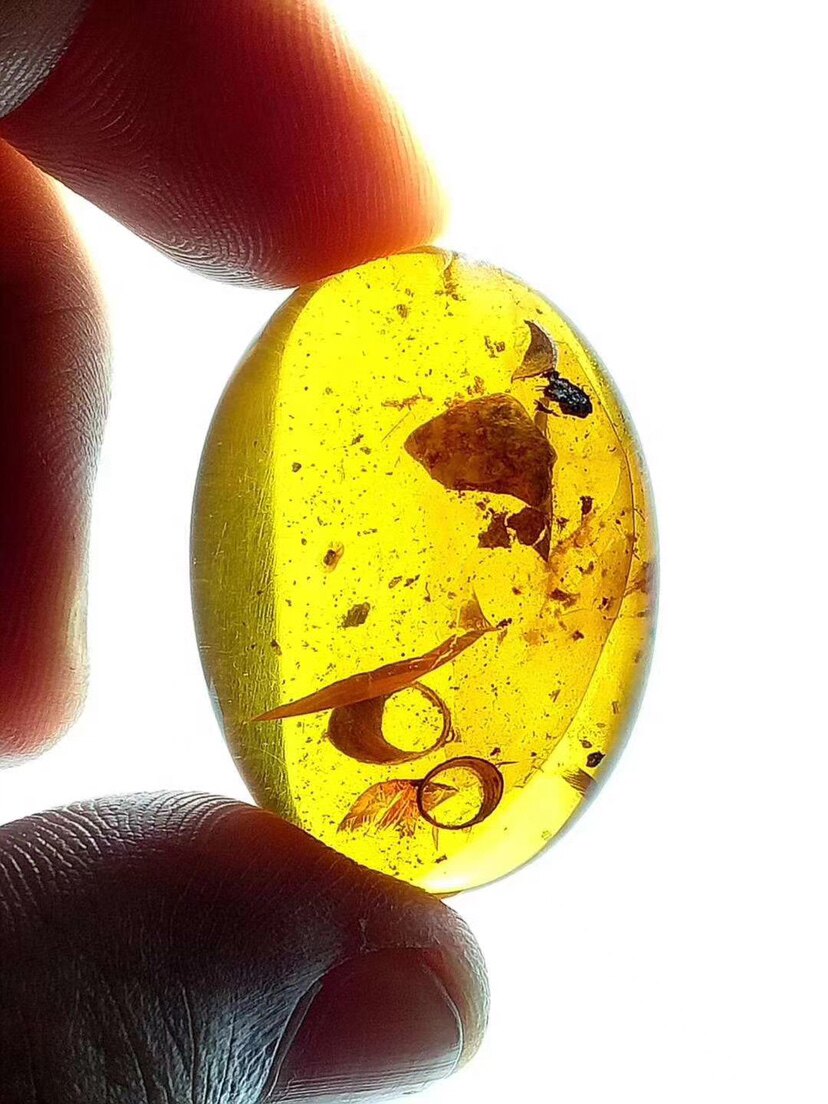 【素缘】缅甸纯天然虫珀吊坠0410 02琥珀带蜂巢标本挂件戒面坠子