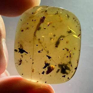 素缘缅甸天然虫珀吊坠0623 75琥珀带蜉蝣标本化石原矿坠子挂件