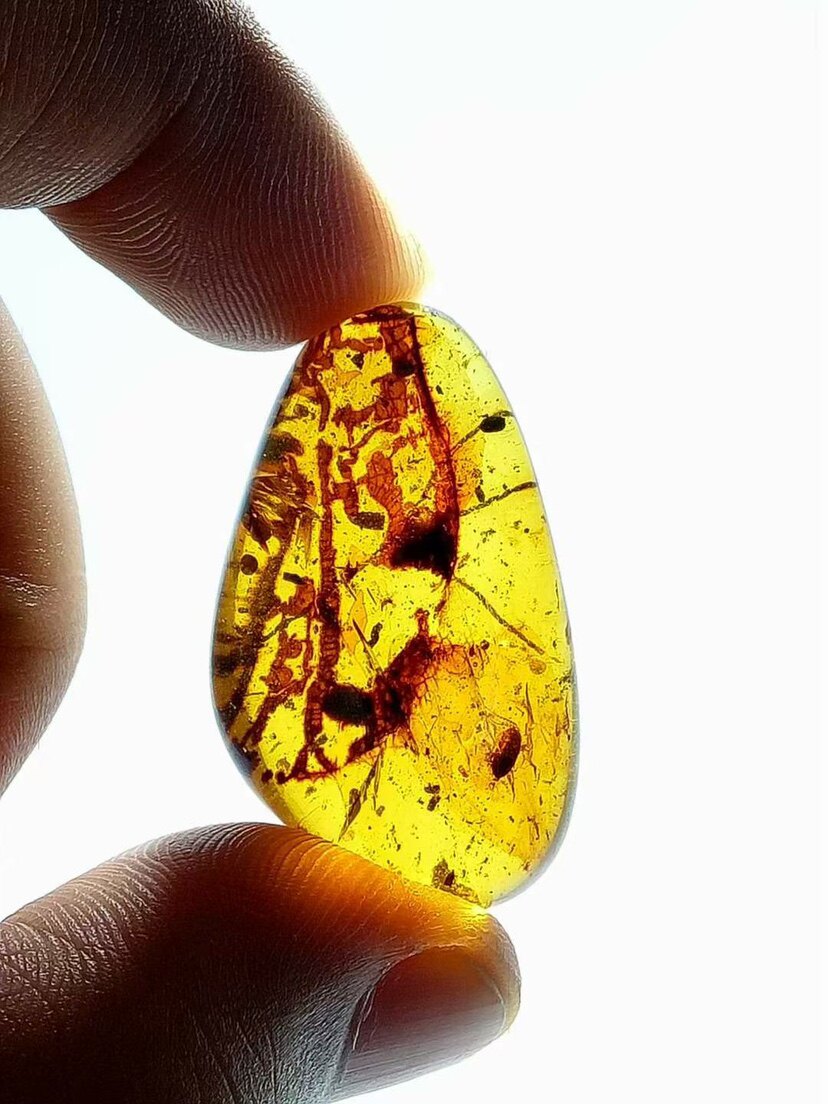 【素缘】缅甸纯天然虫珀吊坠0605 03琥珀带栉角甲虫蚊子植物叶子