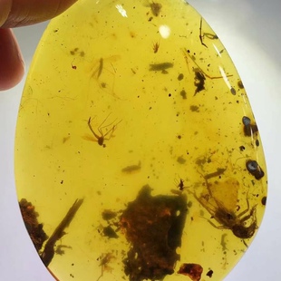 素缘缅甸天然虫珀吊坠0315琥珀带蝼蛄标本化石原石坠子挂件