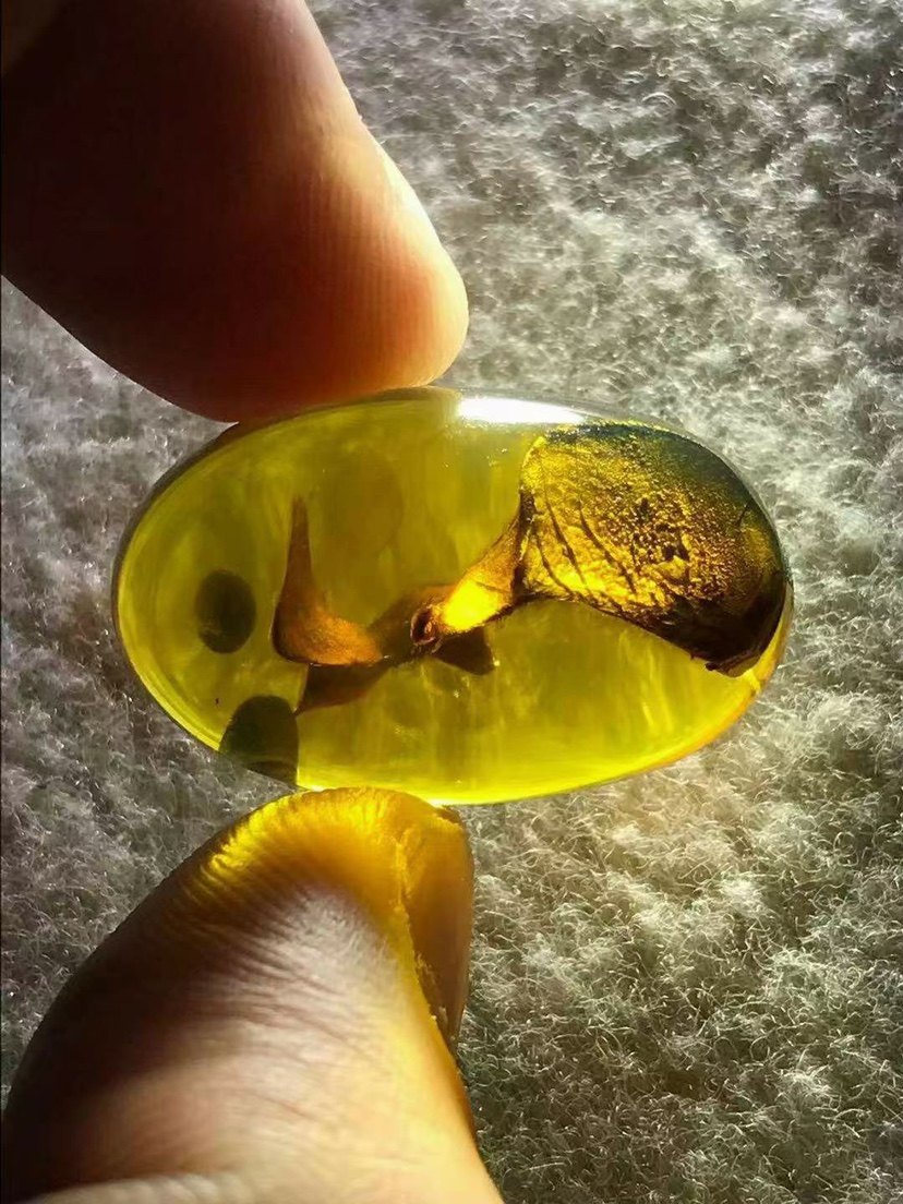 【素缘】缅甸纯天然虫珀吊坠0707 05琥珀带植物叶子标本挂件戒面