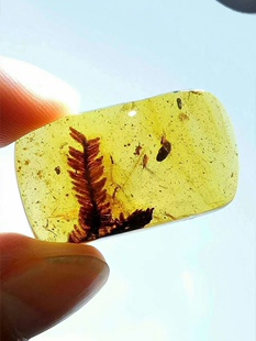 【素缘】缅甸纯天然虫珀吊坠0309 08琥珀带植物杉树叶子标本挂件