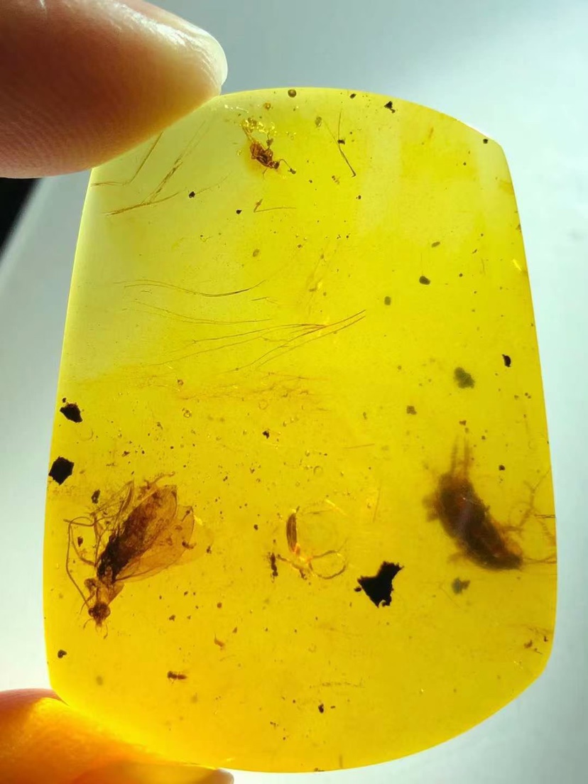 素缘 缅甸纯天然虫珀吊坠0128琥珀带蜂蛾标本挂件坠子化石 素缘玉石 淘优券 素缘 缅甸纯天然虫珀吊坠0128琥珀带蜂蛾标本挂件坠子化石 素缘玉石 淘优券