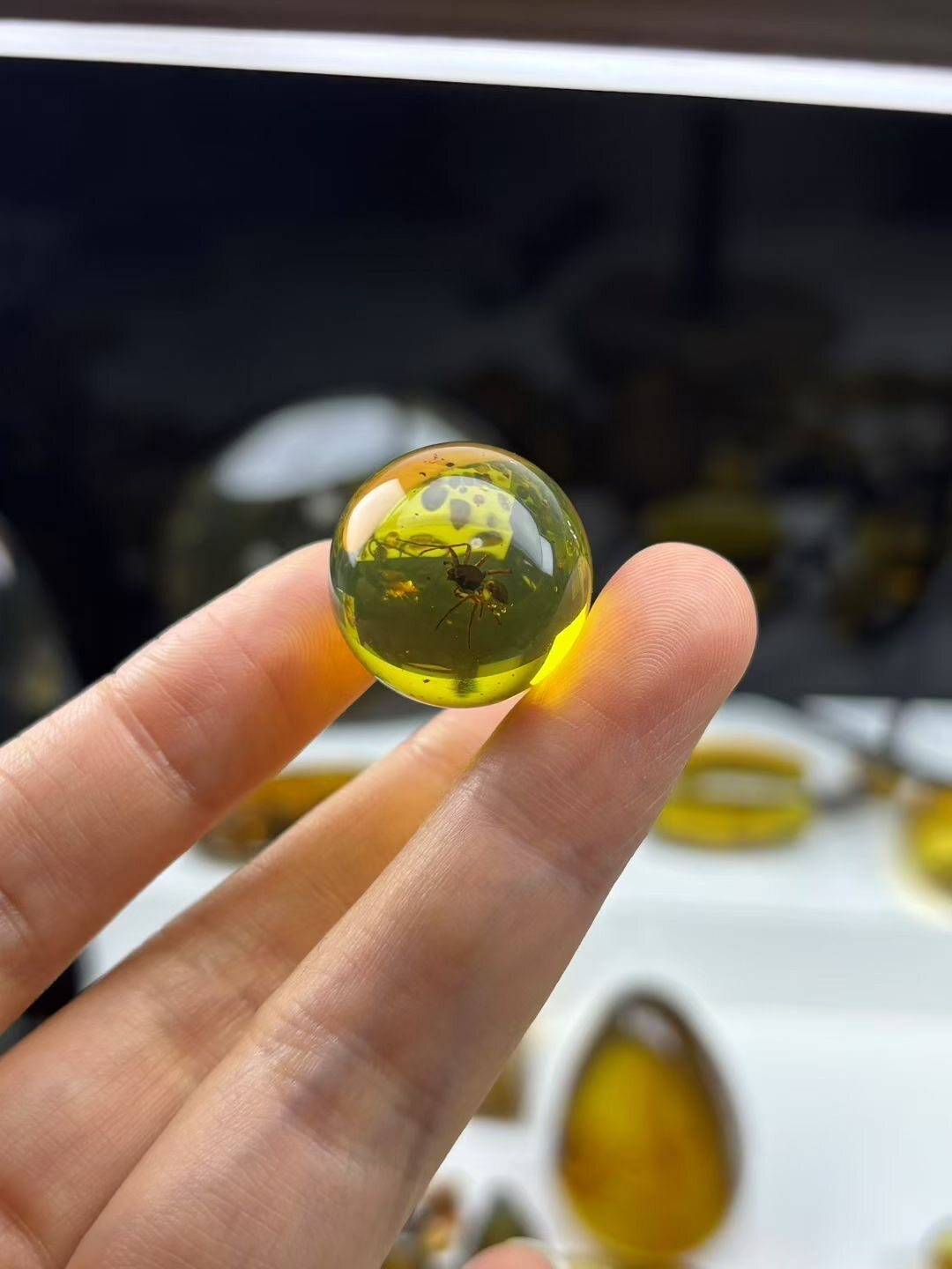 素缘缅甸天然虫珀吊坠0817琥珀带蜘蛛珠子标本化石原矿坠子
