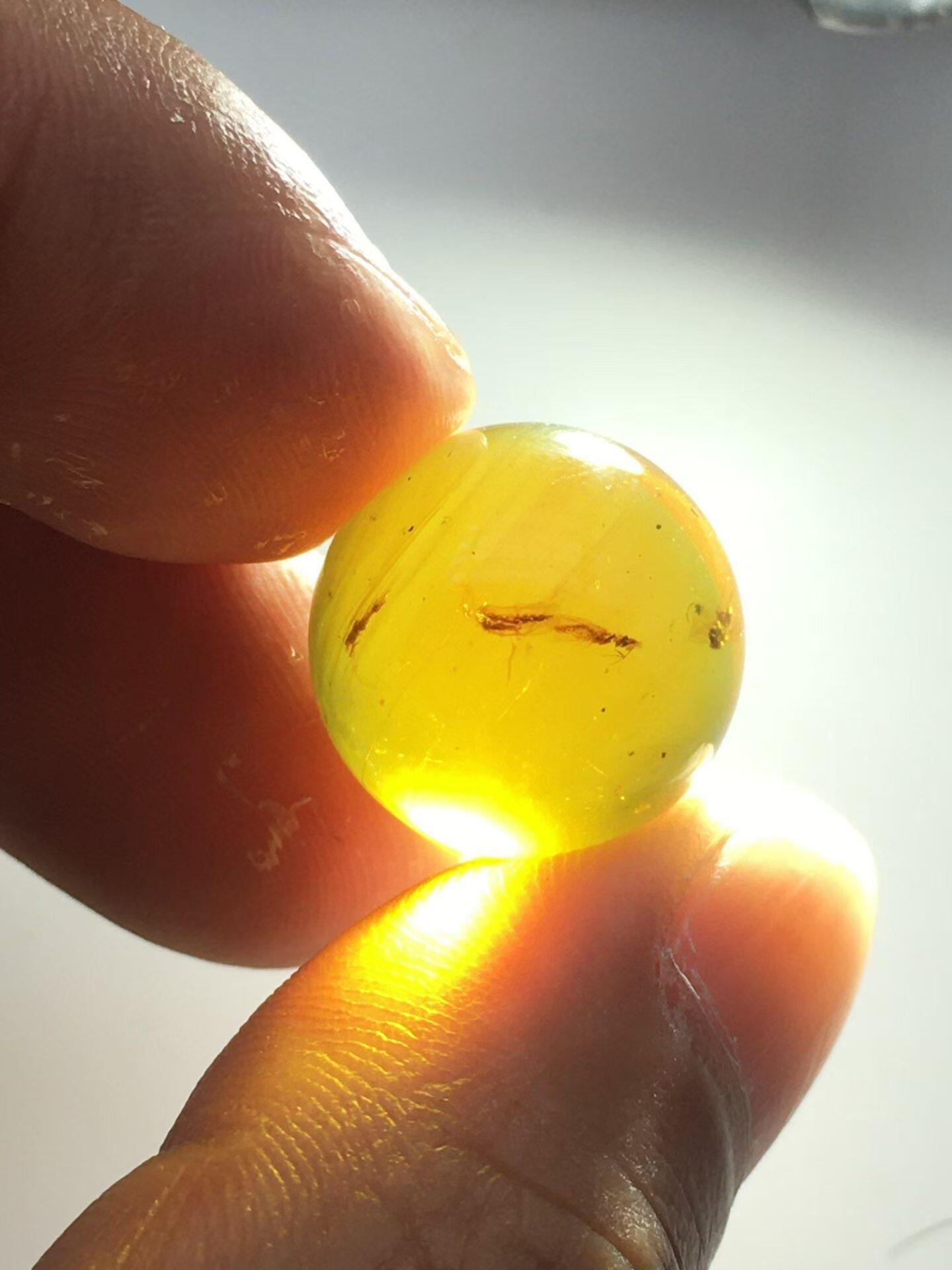 素缘缅甸天然虫珀吊坠0402琥珀带虫珠子标本化石原矿坠子