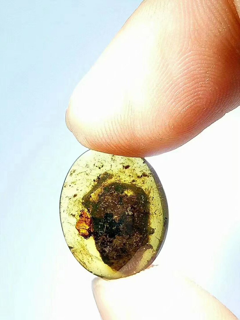 【素缘】缅甸纯天然虫珀吊坠1002 06琥珀带蜂巢标本挂件戒面坠子