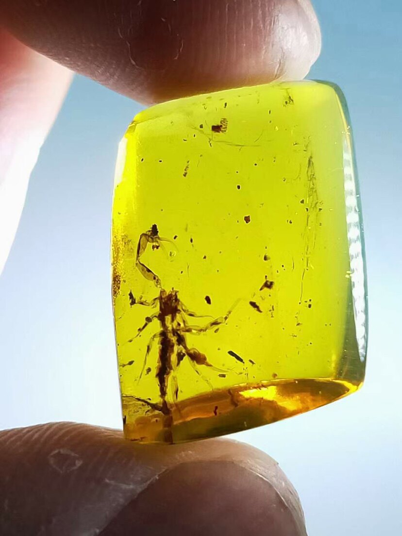 新年特价素缘缅甸天然虫珀吊坠0521 16琥珀带蝎子标本化石原石