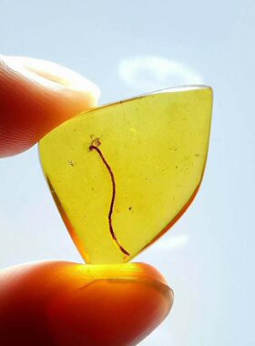 素缘缅甸天然虫珀吊坠0105 07琥珀带马陆啮虫标本化石原矿坠子