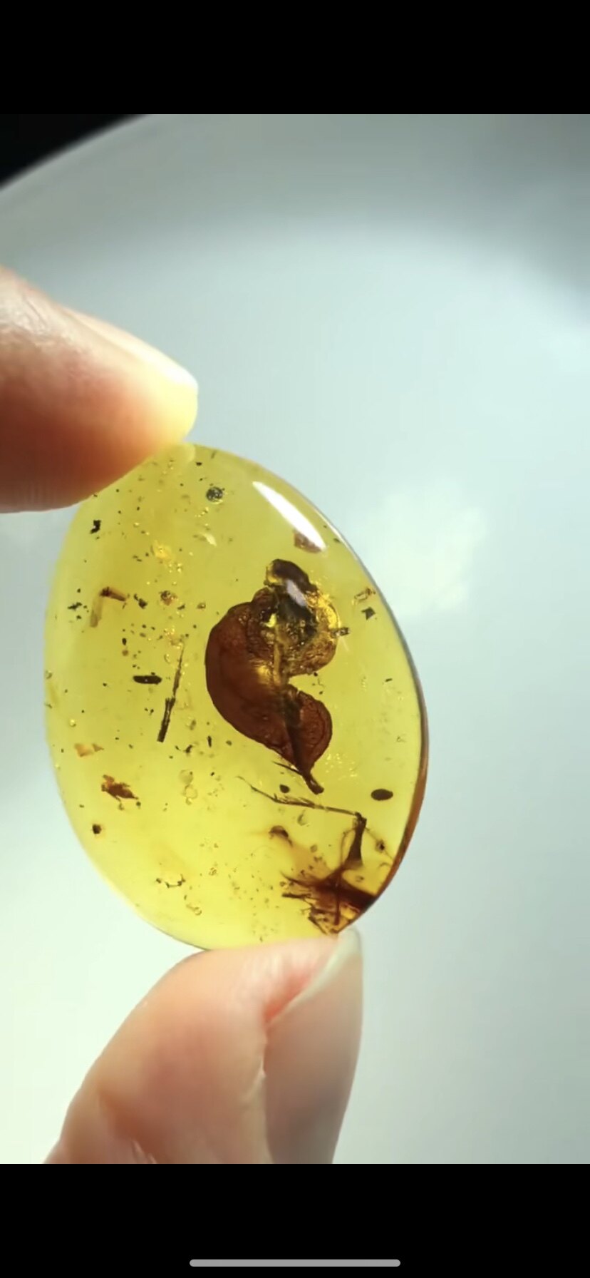 素缘缅甸天然虫珀吊坠0102琥珀带植物叶子标本化石原石坠子挂件