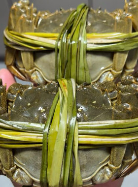 【精品公母】鲜活大闸蟹母3.3-3.7两公4.3-4.7两礼盒装顺丰包邮