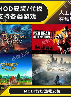 MOD代安装 支持人工远程 星露谷物语 博德之门3 荒野大镖客2