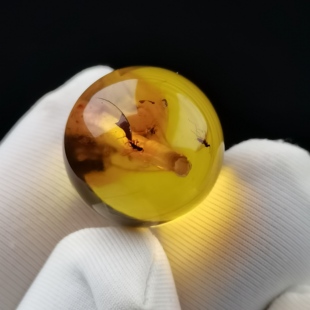 天然原矿琥珀蜜蜡金珀虫珀圆珠15mm单珠文玩手串项链配饰DIY配珠