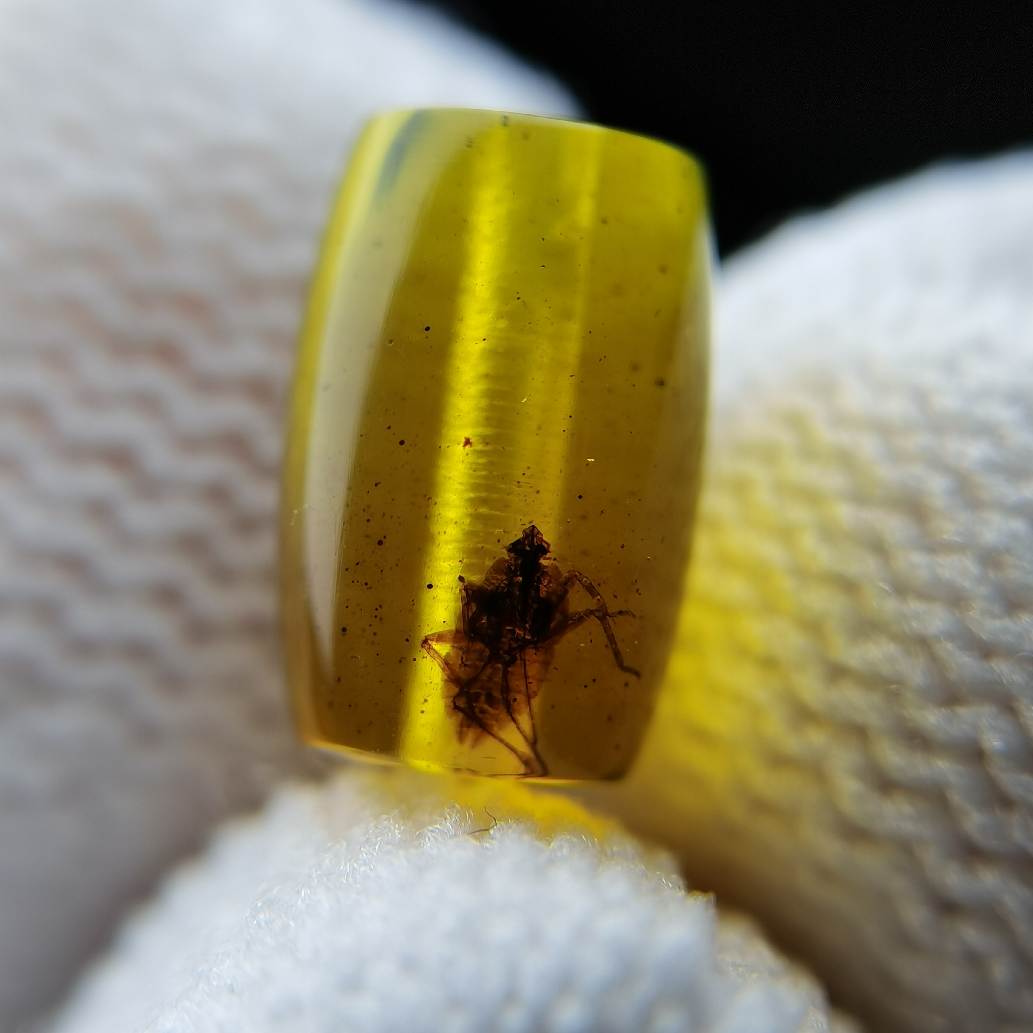天然抚顺琥珀虫珀净水包裹虫珀桶珠单珠diy配饰吊坠手串项链散珠