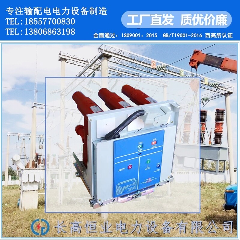 VZF(R)-12户内12KV高压中置柜固封式真空负荷开关-熔断器组合电器