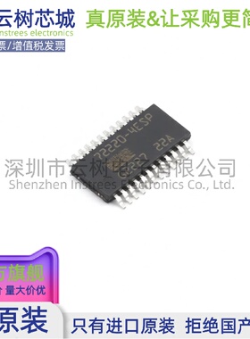 原装正品 BTS722204ESPXUMA1 TSSOP-24 功率电子开关 电源IC