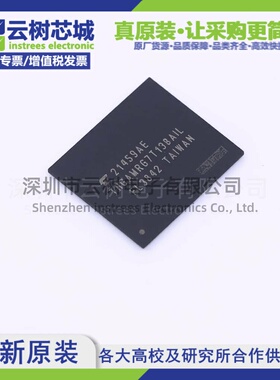 原装正品 THGAMRG7T13BAIL FBGA-153 eMMC存储芯片