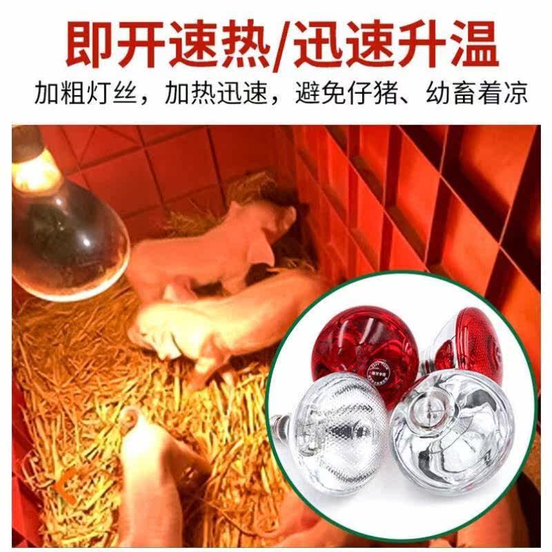 立始仔猪用保温灯育雏养殖取暖灯防水防爆节能红外线烤灯加热陶瓷怎么样,好用不?