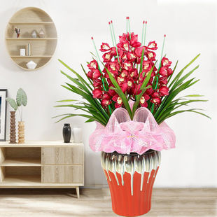 蕙兰大花盆栽兰花带花苞花期长室内客厅阳台好养植物春节礼品盆景