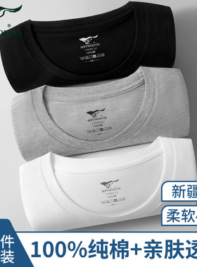 七匹狼纯棉短袖T恤男款打底汗衫
