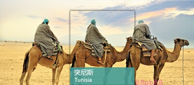 2026突尼斯旅游地图攻略（电子版）自助游自由行交通景点旅行指南