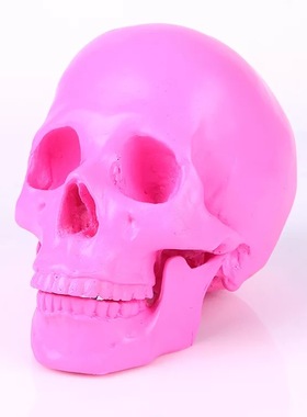 5色半手工骷髅头骨趣味道具摆件