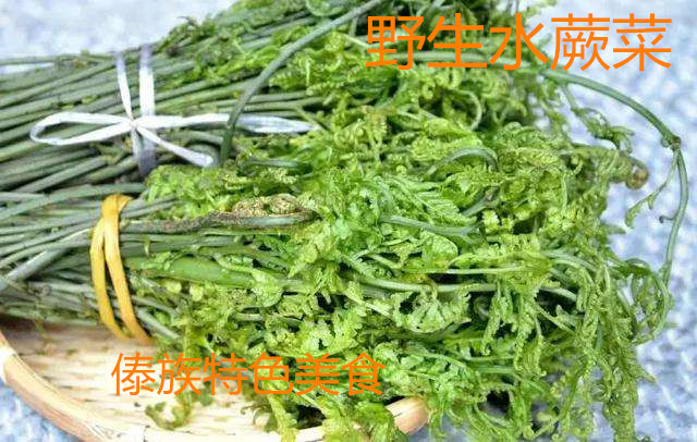 水蕨菜云南特色傣族美食