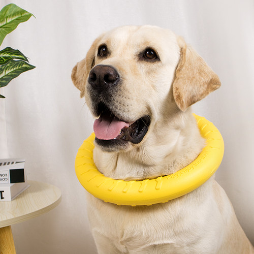 大型犬宠物玩具飞盘拉环球套装