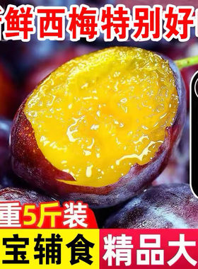 【顺丰空运】正宗法兰西西梅新鲜水果5斤特级大西梅宝宝辅食李子