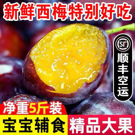 【顺丰空运】正宗法兰西西梅新鲜水果5斤特级大西梅宝宝辅食李子