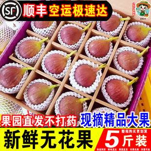 顺丰空运新鲜云南红皮无花果精选5斤大果现摘应当季孕妇水果包邮