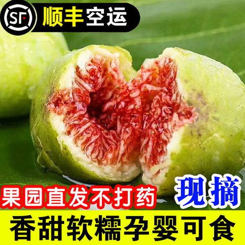 顺丰空运山东威海青皮无花果5斤装树上熟糖包子鲜果当季新鲜水果