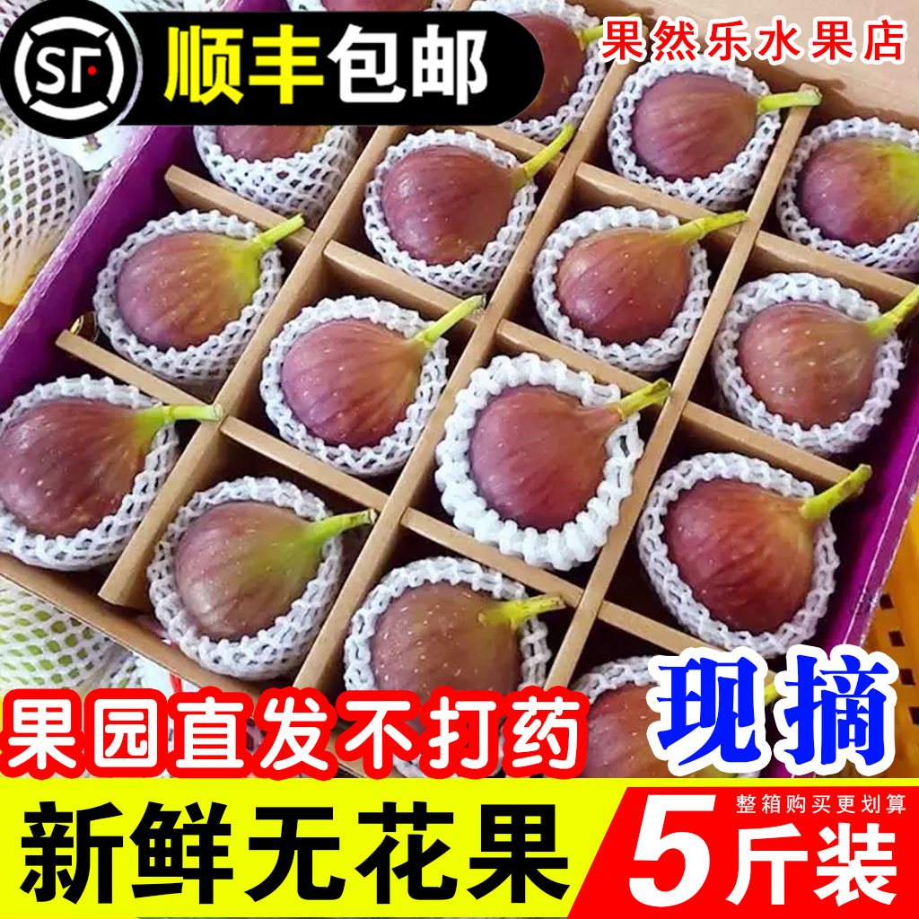 顺丰包邮红皮无花果精选大果新鲜现摘应当季水果软糯香甜孕妇水果
