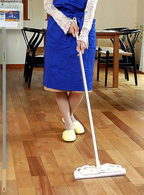 日本代购正品azuma平板拖把可夹固任意抹布沙发缝隙床底超长铝杆