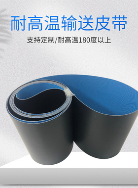 耐磨耐热耐高温输送带 隧道炉烘干流水线传输皮带 电子元件运输带