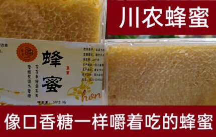 川农蜜蜂研究实践基地官方自产嚼着吃蜂巢蜜深山野生天然成熟500g